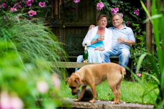 Can I Bring My Pet into a Retirement Village?
